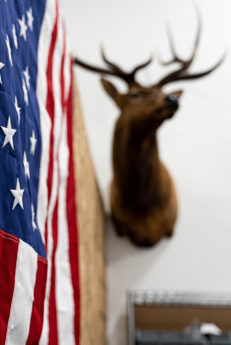 Bull elk shoulder mount on a wall next to an American flag