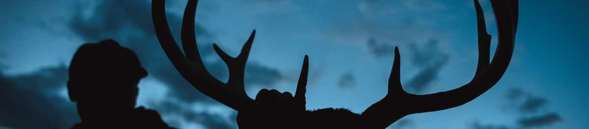A dark silhouette of a person and a large antlered deer head mounted on a wall, set against a blue twilight sky.