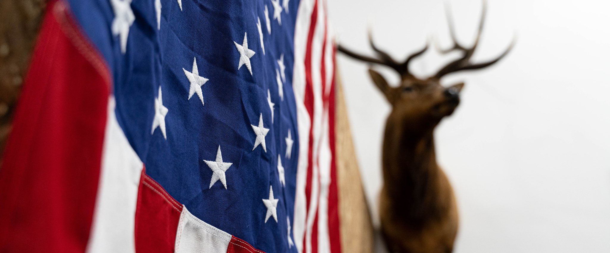 American flag with a elk shoulder mount in the background